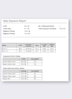 Typical Noise Exposure Report