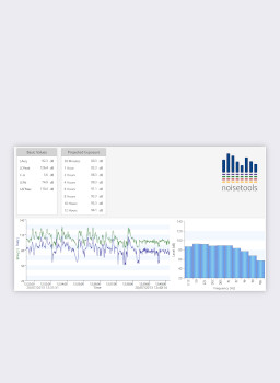 Noise at Work Report